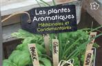 Tout savoir sur les aromatiques